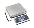 Scale, Stainless Steel, Platform, 305 x 315mm, 60kg, Backlit LCD